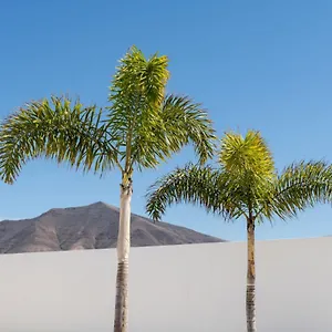 https://villa-alay.in-canary-islands.com